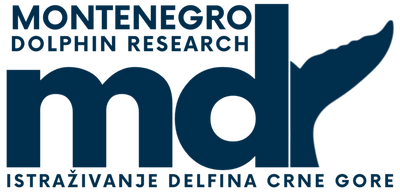 Charity partner logo